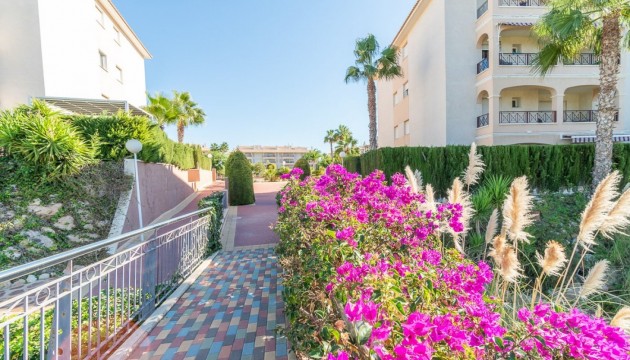 Reventa - Apartamento - Orihuela Costa - Playa Flamenca