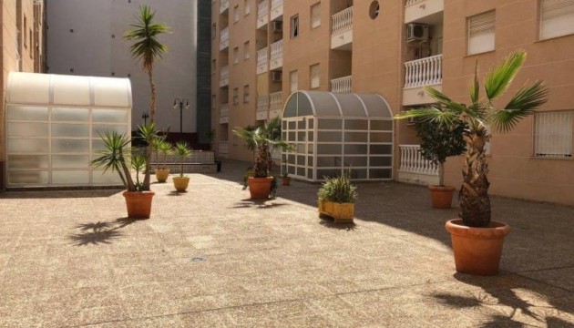 Reventa - Apartamento - Torrevieja