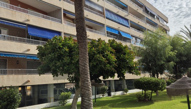 Herverkoop - Apartment - Orihuela Costa