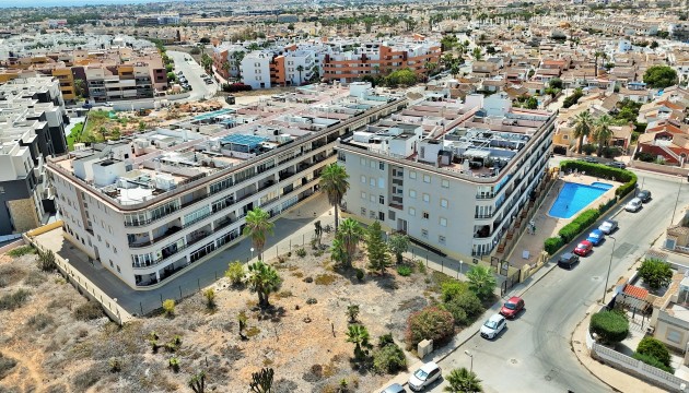 Begagnad - Lägenhet - Orihuela Costa - Playa Flamenca