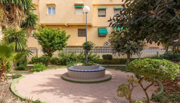 Herverkoop - Apartment - Torrevieja - Torrelamata - La Mata