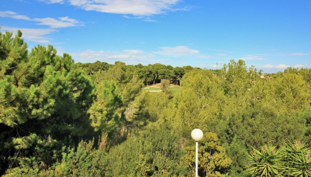 Перепродажа - Квартира - Orihuela Costa - Villamartín