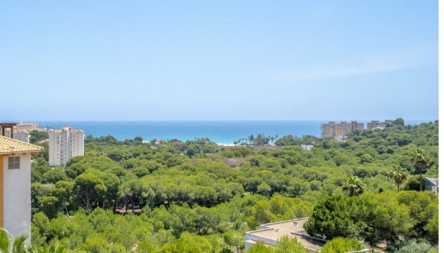 Перепродажа - Квартира - Orihuela Costa - Campoamor