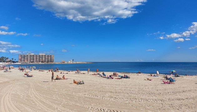 Begagnad - Lägenhet - Torrevieja - Playa de los Locos