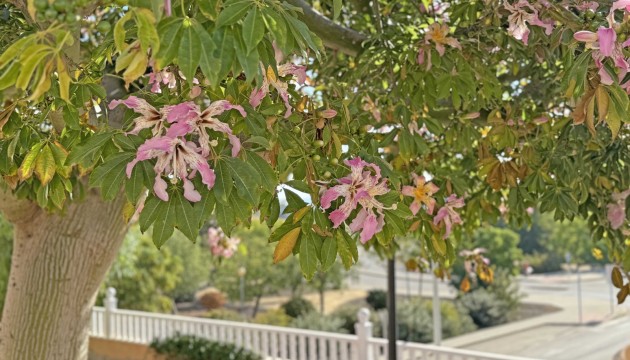 Herverkoop - Herenhuis - Orihuela Costa - Lomas de Cabo Roig