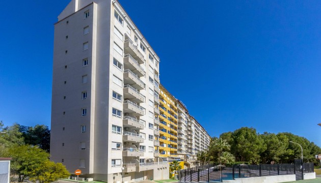 Begagnad - Lägenhet - Orihuela Costa - Campoamor