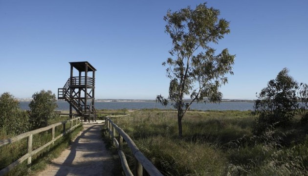 Neue Gebäude - Stadthaus - Torrevieja - Nueva Torrevieja - Aguas Nuevas