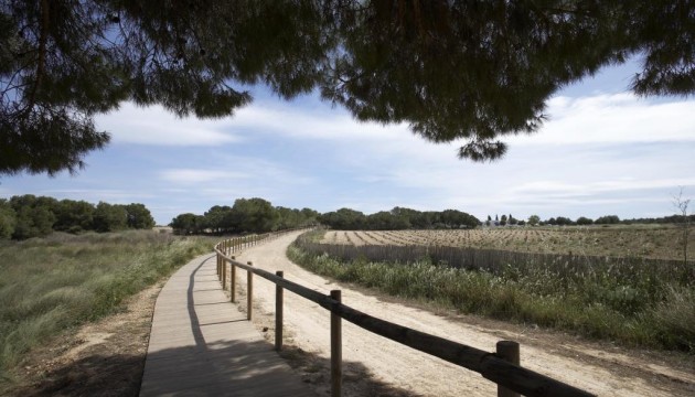 Neue Gebäude - Stadthaus - Torrevieja - Nueva Torrevieja - Aguas Nuevas