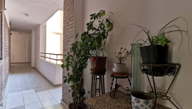 Herverkoop - Apartment - Torrevieja