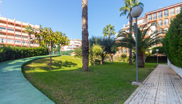 Herverkoop - Apartment - Torrevieja - Nueva Torrevieja - Aguas Nuevas