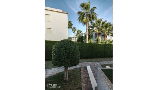 Resale - Apartment - Orihuela Costa - Villamartín