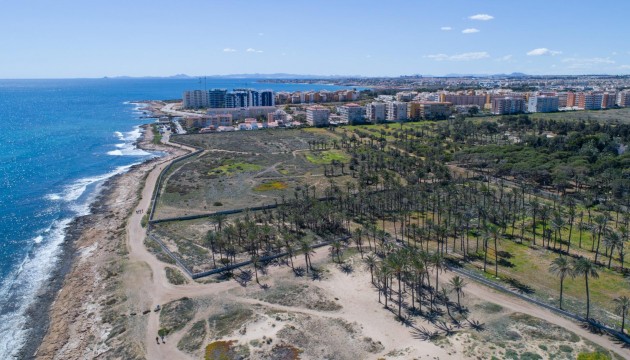 Herverkoop - Apartment - Torrevieja - La veleta