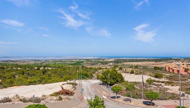 Resale - Detached Villa - San Miguel de Salinas