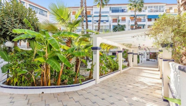 Resale - Apartment - La Mata - Torrelamata - La Mata