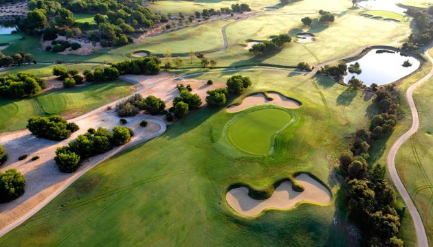 Neue Gebäude - Detached Villa - Pilar de la Horadada - Lo Romero Golf