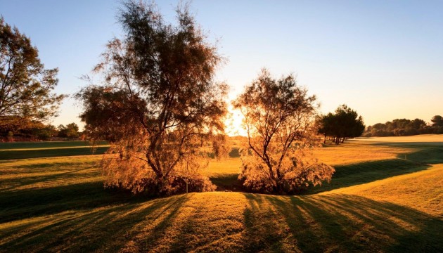 Neue Gebäude - Detached Villa - Pilar de la Horadada - Lo Romero Golf