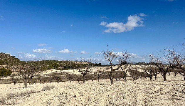 Reventa - Parcela / Terreno - Bullas - Costa Calida