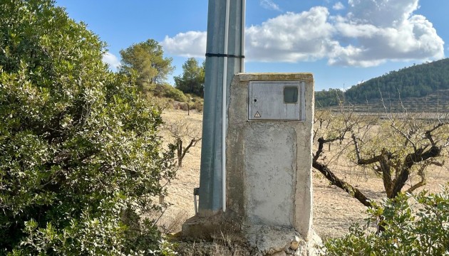 Reventa - Parcela / Terreno - Bullas - Costa Calida