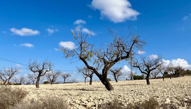 Reventa - Parcela / Terreno - Bullas - Costa Calida