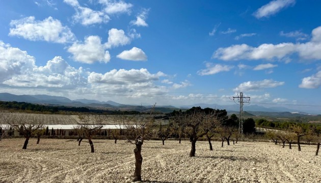 Reventa - Parcela / Terreno - Bullas - Costa Calida