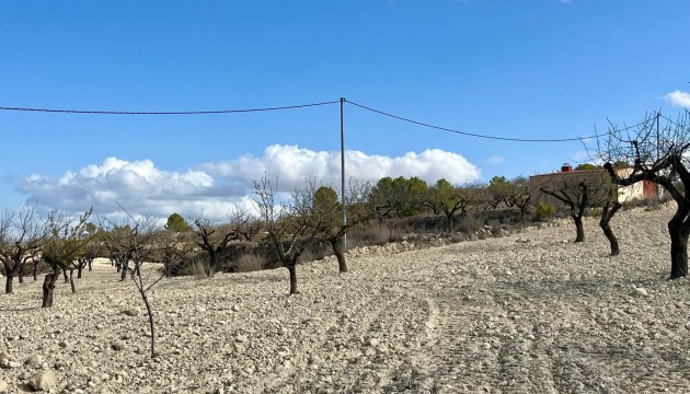 Reventa - Parcela / Terreno - Bullas - Costa Calida