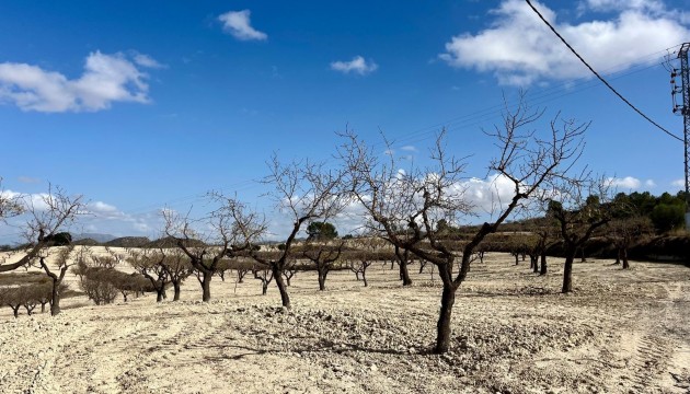 Reventa - Parcela / Terreno - Bullas - Costa Calida