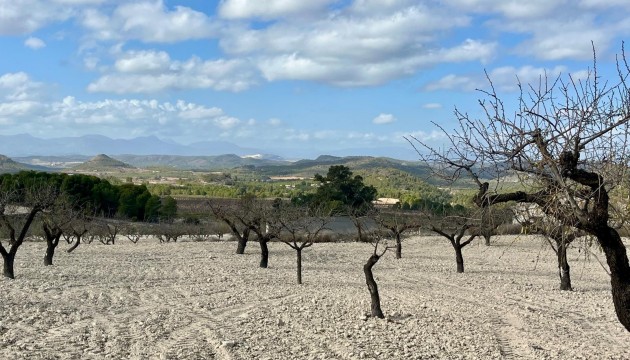 Reventa - Parcela / Terreno - Bullas - Costa Calida