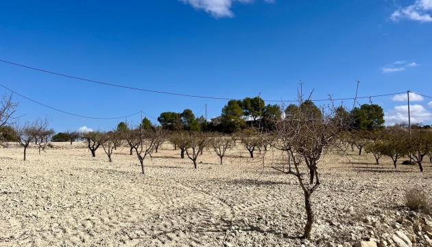 Reventa - Parcela / Terreno - Bullas - Costa Calida