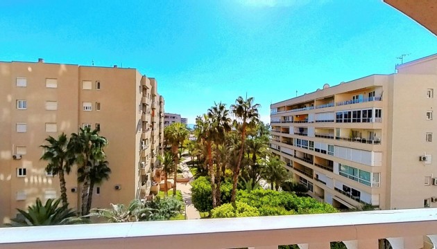 Begagnad - Lägenhet - Torrevieja