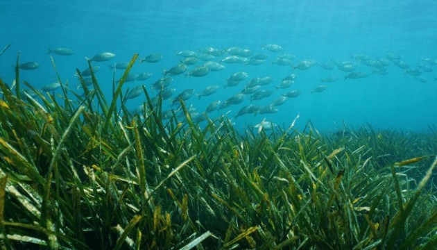 Nybygg - Detached Villa - Benissa