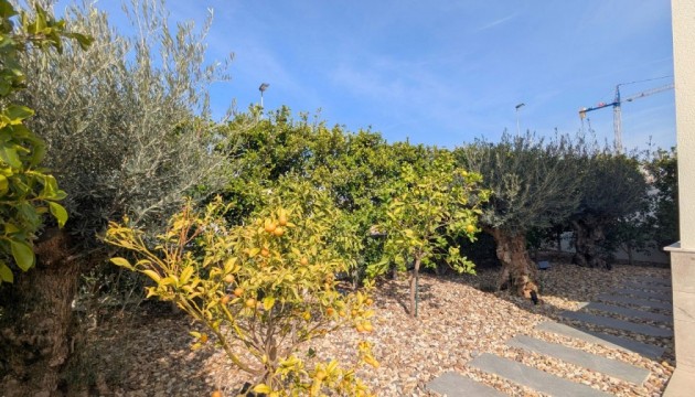 Herverkoop - Detached Villa - Benijófar - Benijofar