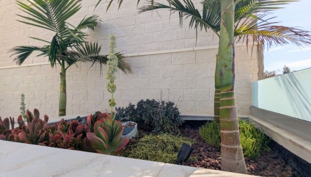 Herverkoop - Detached Villa - Benijófar - Benijofar