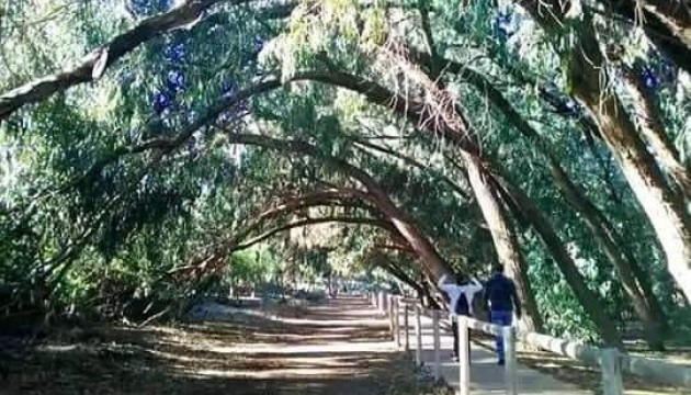 Nieuwbouw Woningen - Bungalow - Torrevieja