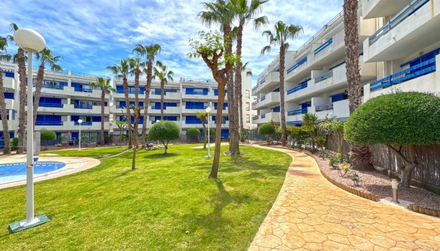 Begagnad - Lägenhet - Orihuela Costa - Playa Flamenca