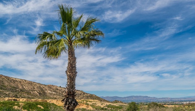 Resale - Apartment - Algorfa - La Finca Golf Resort