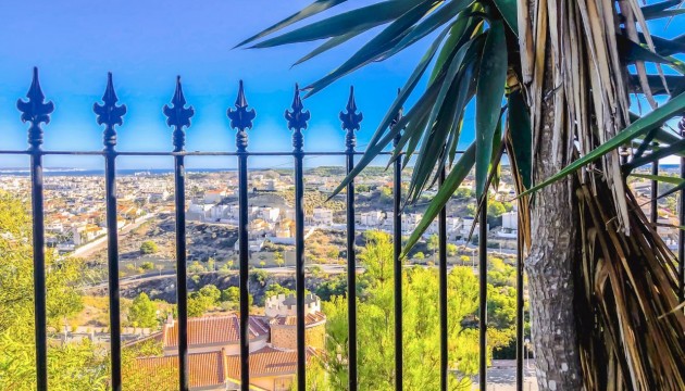 Resale - Detached Villa - Rojales - Lo Pepin