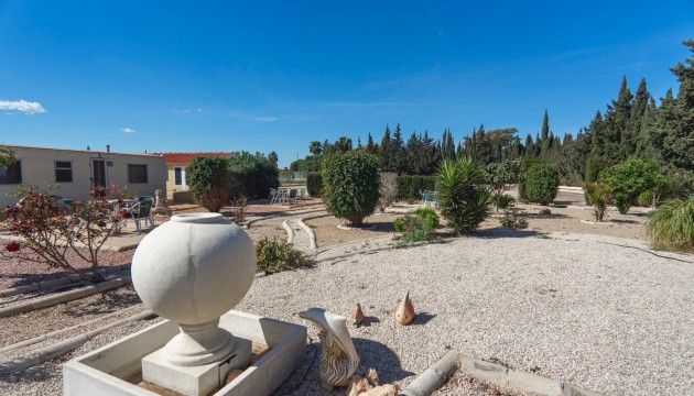 Herverkoop - Country House - Los Montesinos