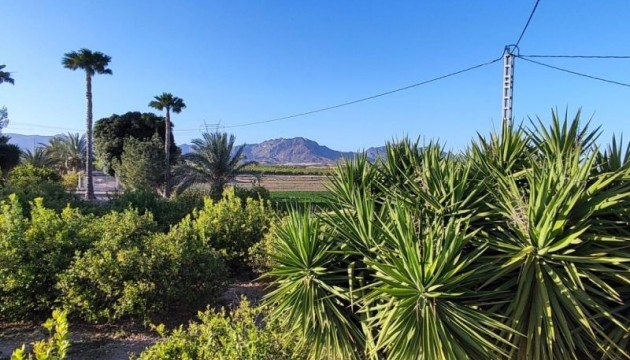 Begagnad - Landsbyggdshus - Orihuela