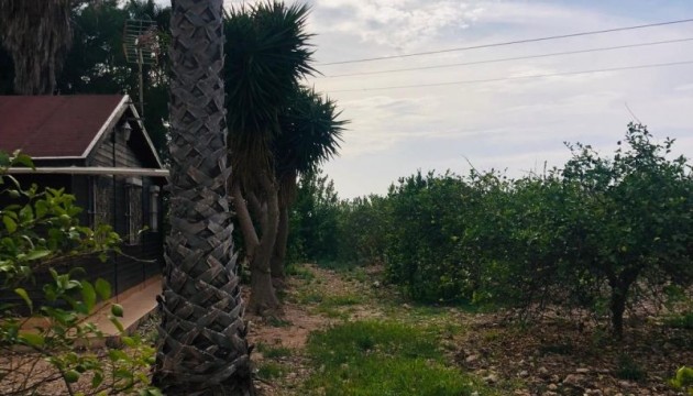 Begagnad - Landsbyggdshus - Orihuela