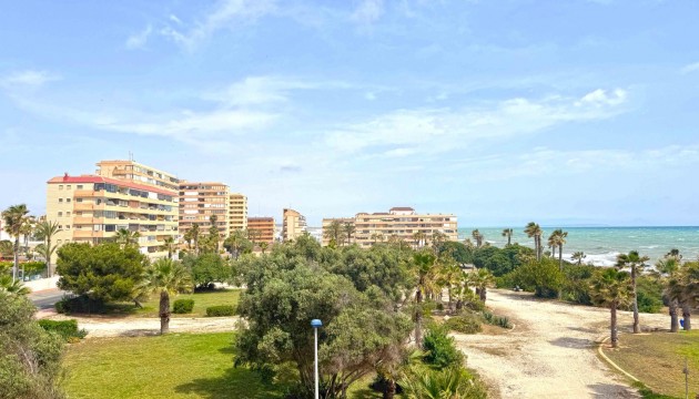 Reventa - Apartamento - Torrevieja - Torrelamata - La Mata