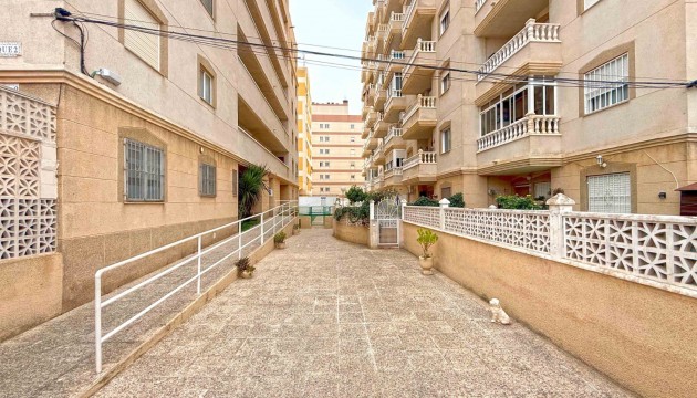 Wiederverkauf - Apartment - Torrevieja - Nueva Torrevieja - Aguas Nuevas