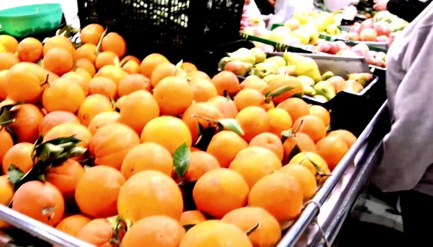 Nybygg - Leilighet - Torrevieja