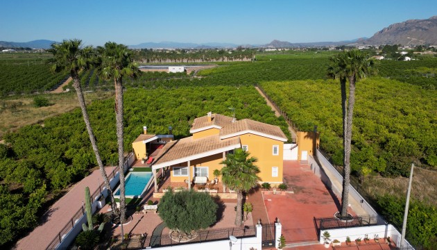 Herverkoop - Detached Villa - Orihuela