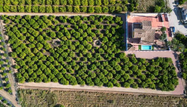 Herverkoop - Detached Villa - Orihuela