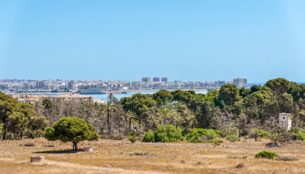 Resale - Apartment - Orihuela Costa - Punta Prima