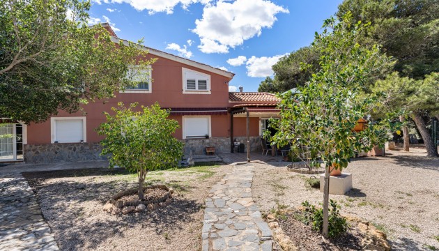 Resale - Detached Villa - El Altet