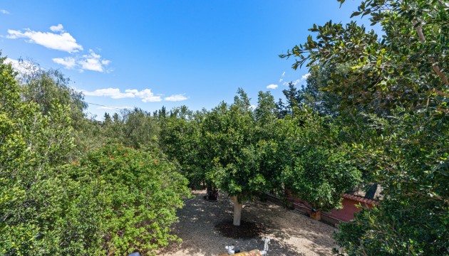 Resale - Detached Villa - El Altet