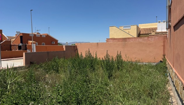 Reventa - Parcela / Terreno - Daya Nueva