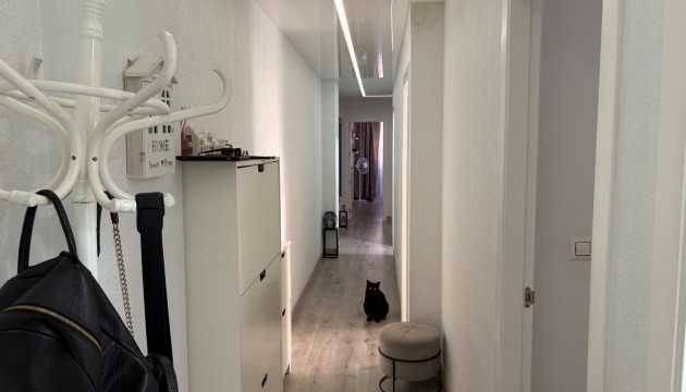 Wiederverkauf - Apartment - Torrevieja