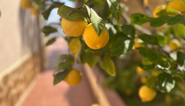 Begagnad - Fristående Villa - Algorfa